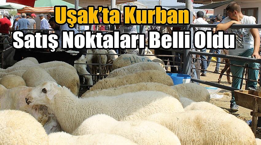 Uşak’ta Kurban Satış Noktaları Belli Oldu